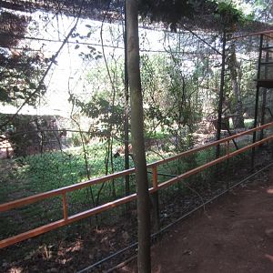 Leopard Cage