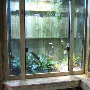 View Amphibian exhibit under-construction