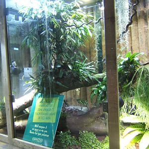 View Amphibian exhibit under-construction