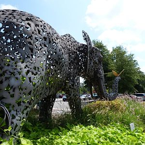Plants Growing In Elephant Statue