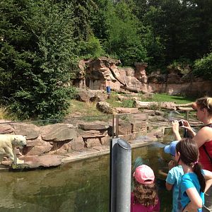Polar bear exhibit