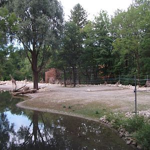 New giraffes house and paddock