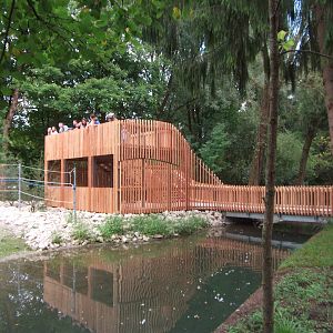 New giraffes house and paddock