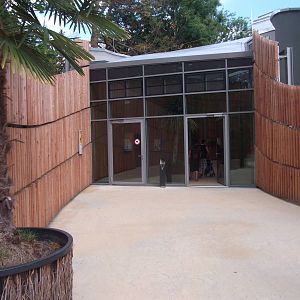 New giraffes house and paddock