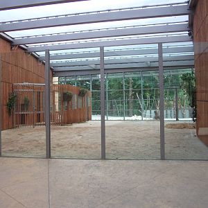 New giraffes house and paddock