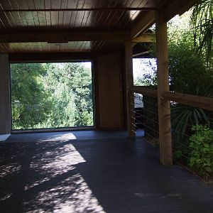 Sun Bear Exhibit Preview at Colchester, 31/08/13