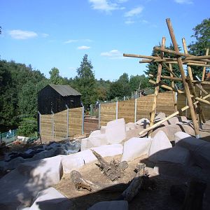 Sun Bear Exhibit Preview at Colchester, 31/08/13