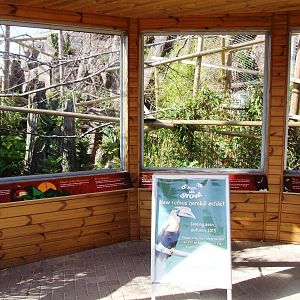 Sun Bear Exhibit Preview at Colchester, 31/08/13