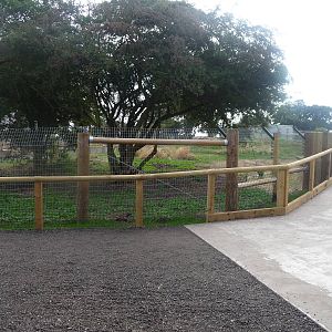 Anteater enclosure