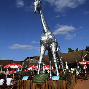 Large Shiny Giraffe at Colchester, 31/08/13