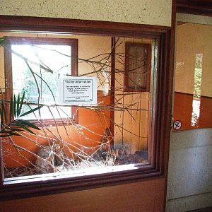 Future Sugar Glider Enclosure at Colchester, 31/08/13