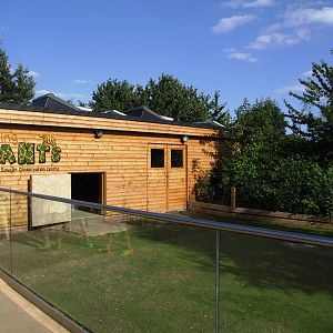 Tortoise House at Colchester, 31/08/13