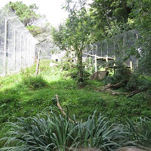 jaguar enclosure 020913