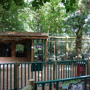 New Wolf Walk at Paradise WP, 01/09/13