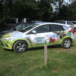 Visitors from another zoo in the car park