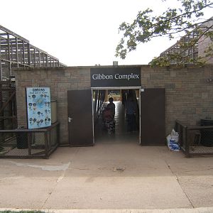 View of Gibbon Complex