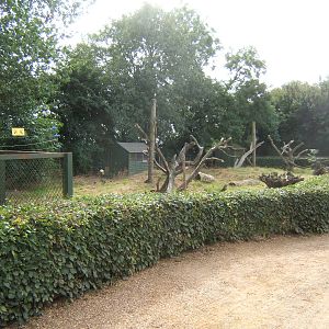 What used to be an Aviary