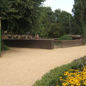 View of re-built Meerkat enclosure