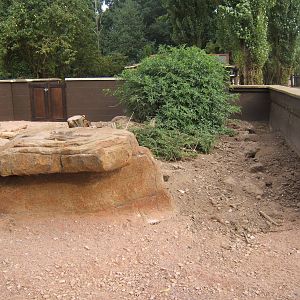 View of re-built Meerkat enclosure