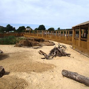 Yellow Mongoose Enclosure at Woburn, 01/09/13