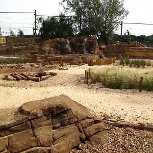 Meerkat Enclosure at Woburn, 01/09/13