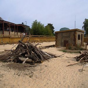 Crested Porcupine Enclosure at Woburn, 01/09/13