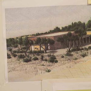 drawing of new reptile building