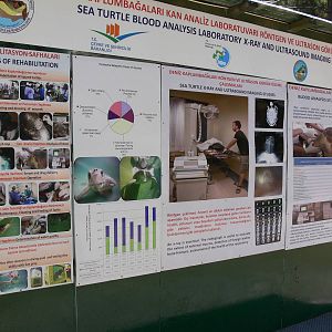 Signage example at IBCCTRC, 26/07/13