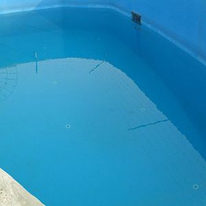 Quarantine pool for pinnipeds