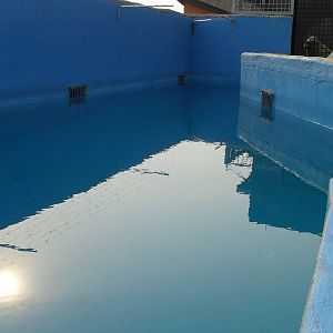 Quarantine pool for pinnipeds