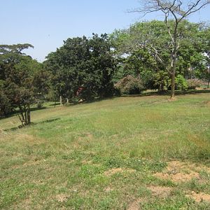 Entebbe Botanic Gardens