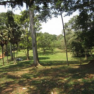 Entebbe Botanic Gardens
