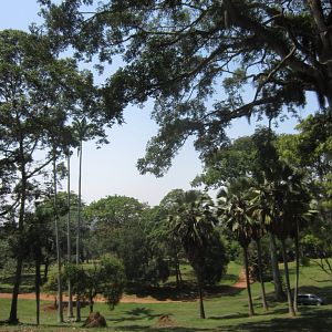 Entebbe Botanic Gardens