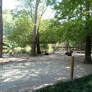 Llama Exhibit -9/7/2013
