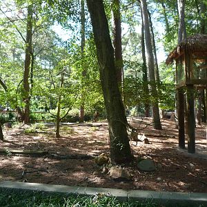 Rhea/Macaw/Alpaca/Capybara Exhibit - 9/7/2013