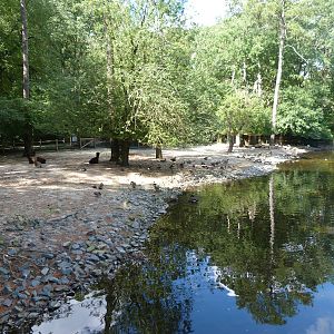 Llama Exhibit - 9/7/2013