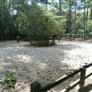 Bison Exhibit - 9/7/2013