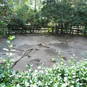 Prairie Dog Exhibit - 9/7/2013