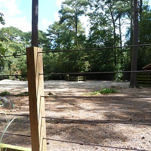 Back of Bison Exhibit - 9/7/2013