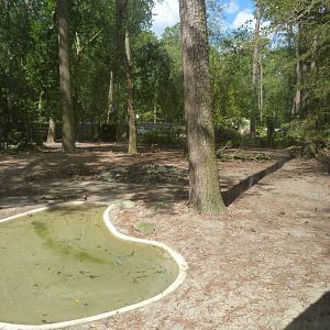 Other view of Deer exhibit - 9/7/2013