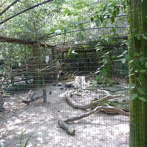 Beaver/Night Heron Exhibit - 9/7/13