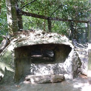 End of Beaver Exhibit -9/7/13