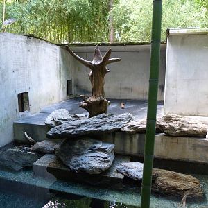 Outside Bedroom Area (Andean Bear) - 9/7/13