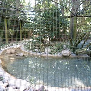 N. American River Otter Exhibit - 9/7/13
