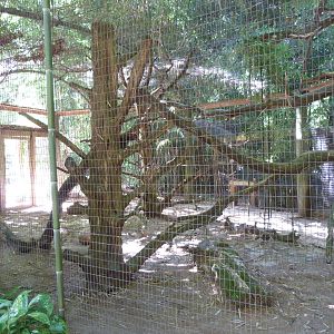 Half of Ocelot Exhibit - 9/7/13