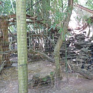 Second Half of the Ocelot Exhibit - 9/7/13