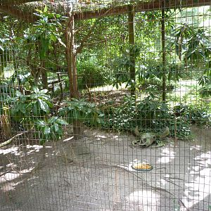 Burrowing Owl Exhibit - 9/7/13