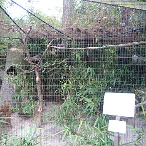 Sloth Exhibit - 9 /7/13