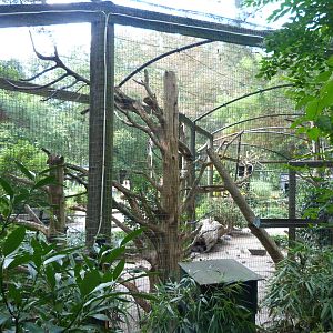 Tropical Bird Exhibit - 9/7/13