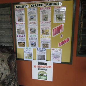 Rhino information board